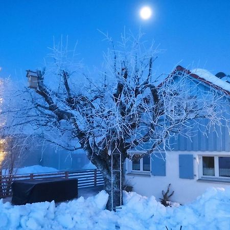 Knuschbrhaisle Villa Oberreute Buitenkant foto