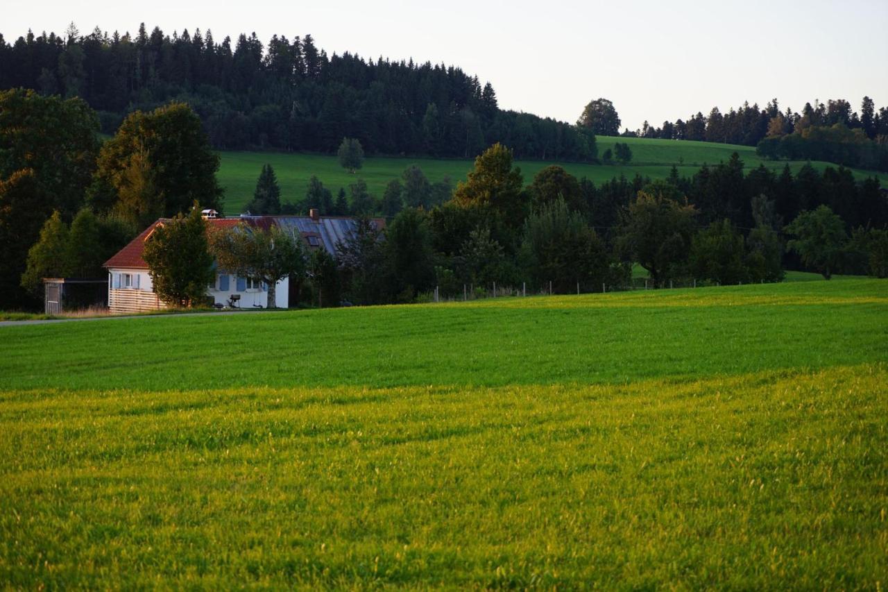 Knuschbrhaisle Villa Oberreute Buitenkant foto